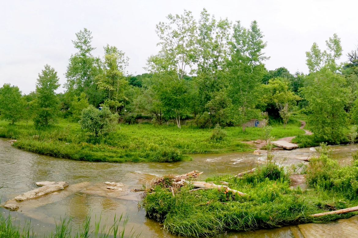 Five Best Parks to visit in Toronto this Spring